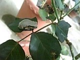 e0098908_212010100.jpg