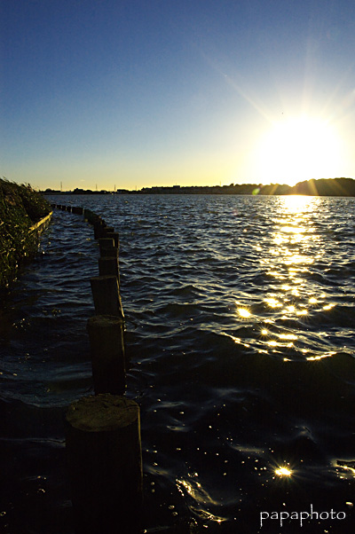 f0041908_235597.jpg