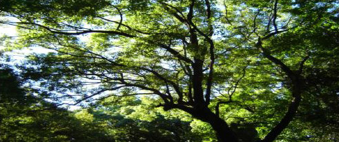 c0011009_19351139.jpg