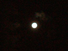 f0068511_0441820.jpg