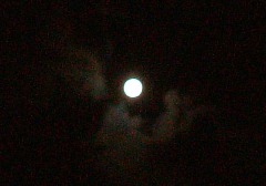 f0068511_04431.jpg