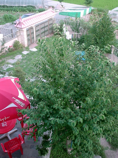 a0043512_17203643.jpg