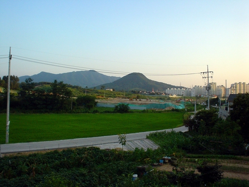 a0043512_172061.jpg
