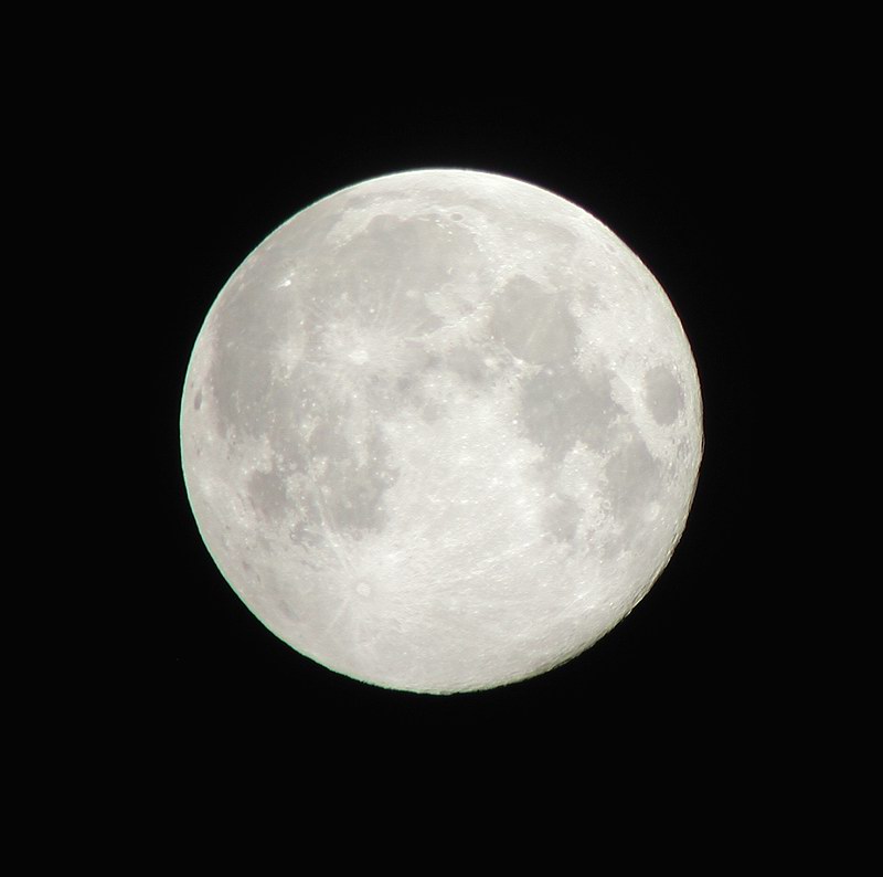 a0043512_4124996.jpg
