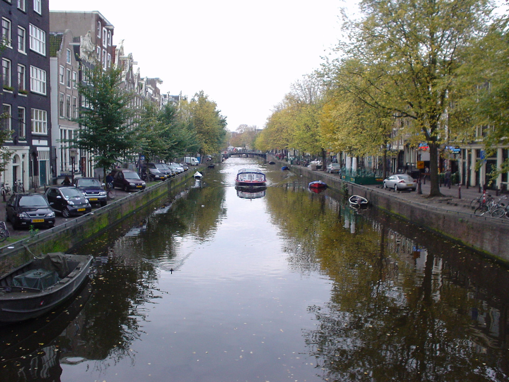 d0070113_647459.jpg