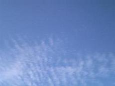 e0096315_20162240.jpg
