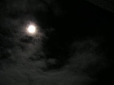 f0004019_2156427.jpg