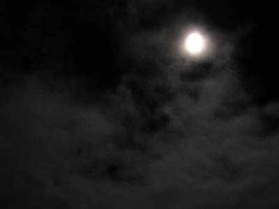 f0004019_2157334.jpg
