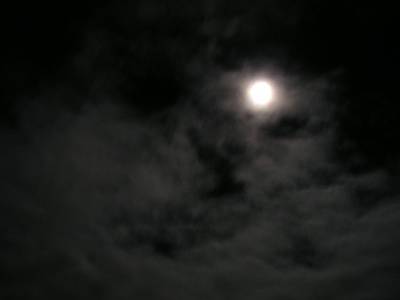 f0004019_2157834.jpg