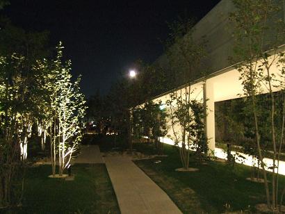 f0085219_21303744.jpg