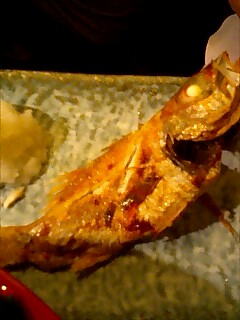 e0091220_185375.jpg