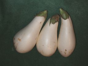 e0047322_2113757.jpg