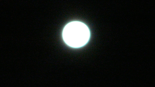 f0060424_2521942.jpg
