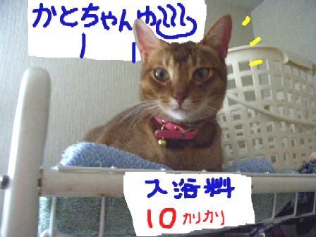 d0081025_1852453.jpg