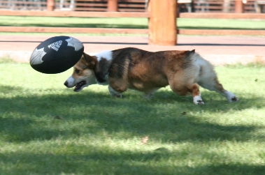 e0071225_14502522.jpg