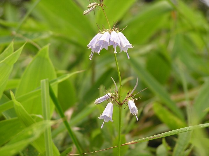 b0016836_0421865.jpg
