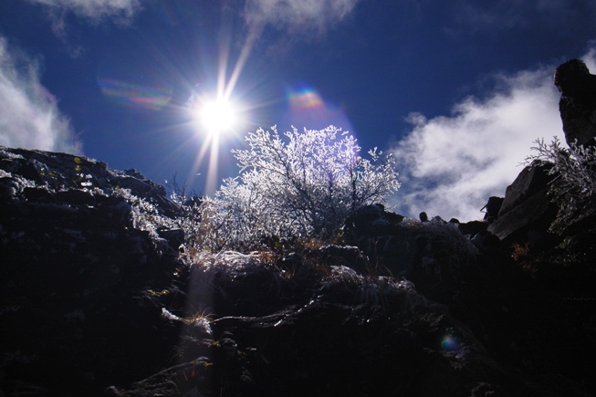 b0097836_23105057.jpg