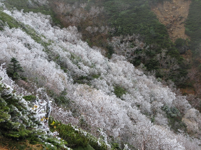 b0097836_2310967.jpg