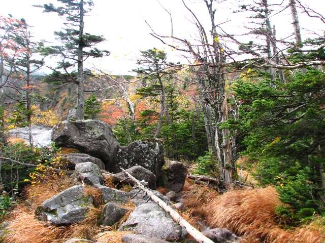 b0097836_2373063.jpg
