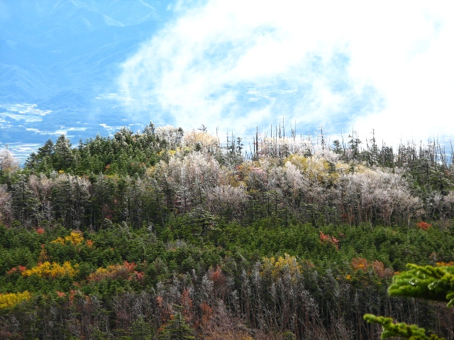 b0097836_2381374.jpg