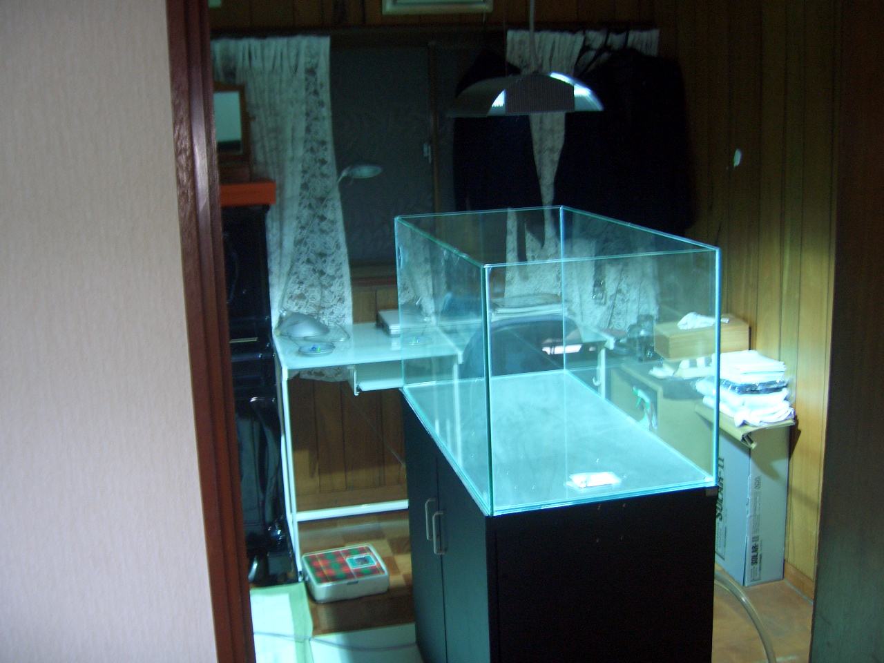 c0087937_16484884.jpg