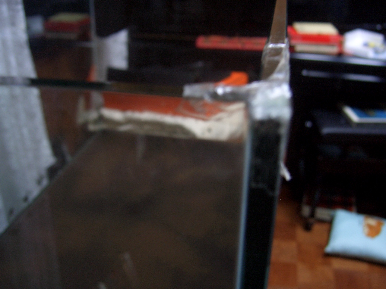 c0087937_1649529.jpg