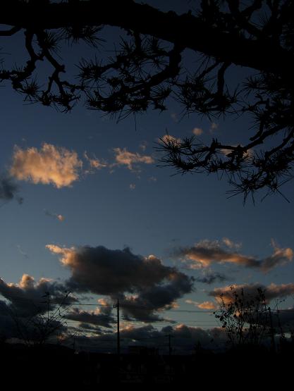 b0089338_0422099.jpg