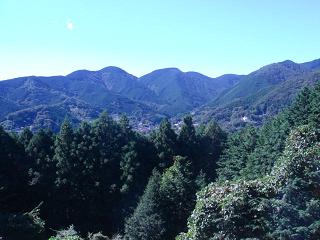 a0048040_20155119.jpg