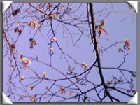 d0048140_18512785.jpg