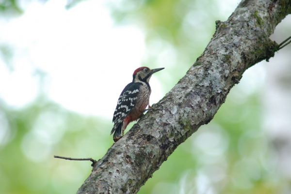 b0036743_2215613.jpg
