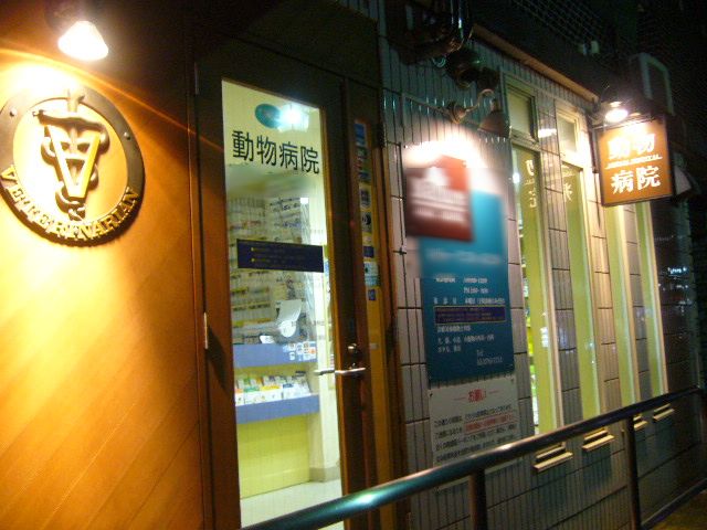 e0005545_055943.jpg