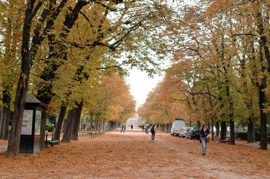 d0008146_125371.jpg