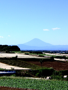 a0003150_15423737.jpg