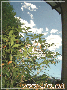 c0025852_129811.gif