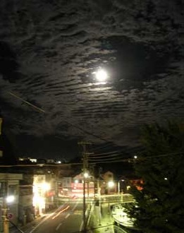 b0078754_19414186.jpg