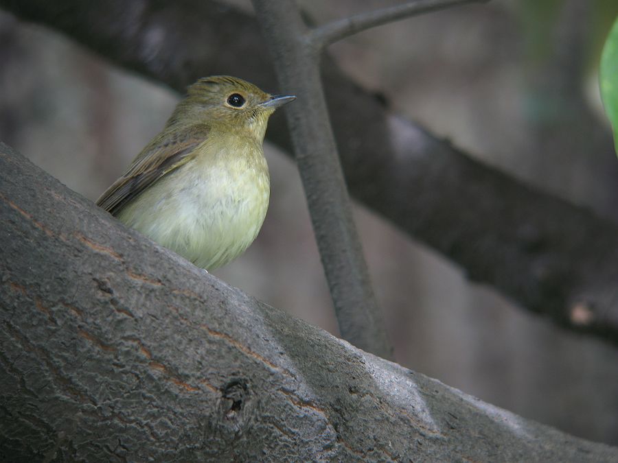 f0103860_190643.jpg
