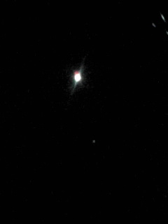 e0089761_2135850.jpg