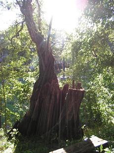 f0067361_2013375.jpg