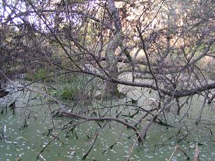 f0067361_2015454.jpg