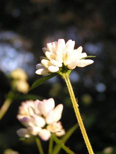 f0067361_20183066.jpg