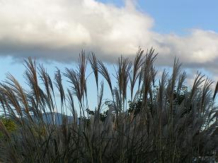 f0067361_20211747.jpg