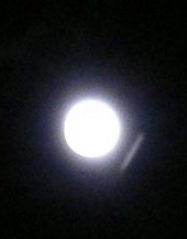 a0063364_23444789.jpg