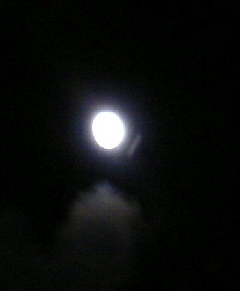 a0063364_23451661.jpg