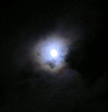 a0063364_23462070.jpg