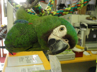 a0087164_1147407.jpg