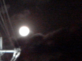 a0087164_1147572.jpg