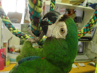 a0087164_12285625.jpg