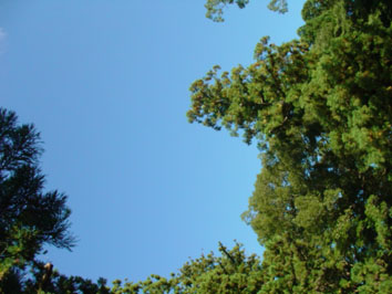d0064366_21205190.jpg