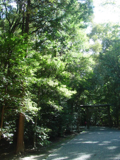 d0064366_21461731.jpg