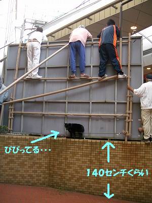 e0002466_1540792.jpg